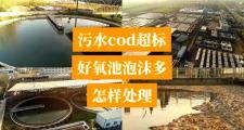 紧急措施！应对污水处理中的化学污染