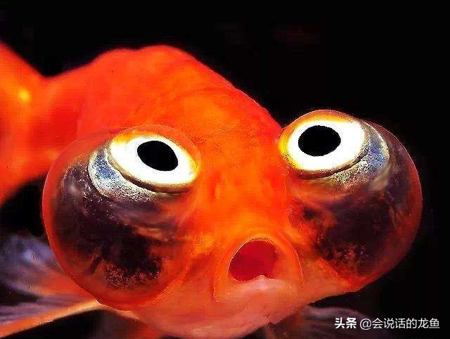 痛心！因忽视过滤器导致的损失