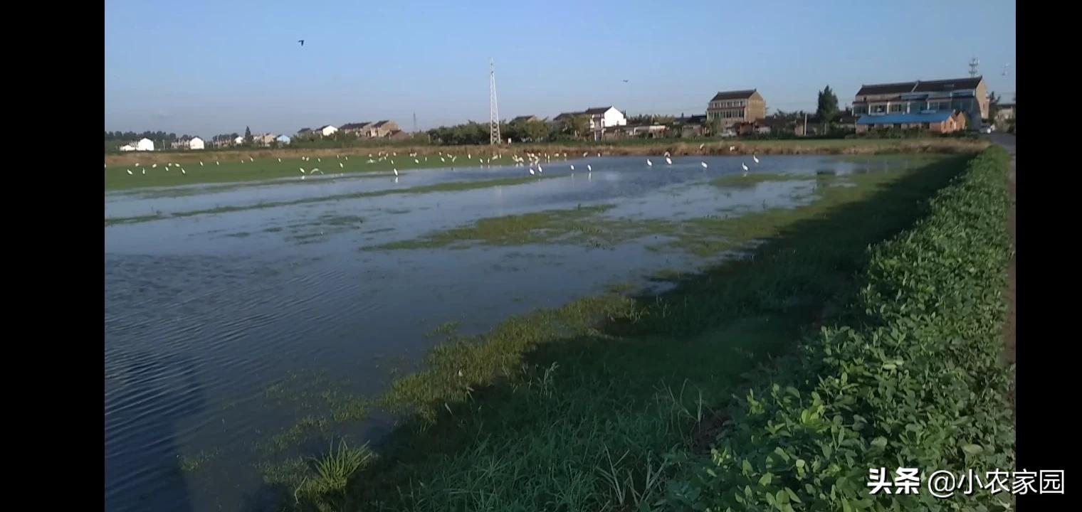 探秘污水处理厂：污水如何变清流？